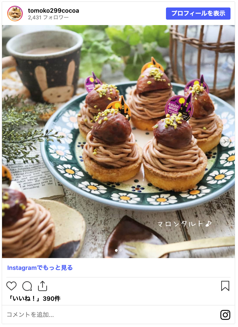 フォトコンテスト