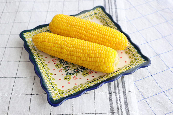 フランス製陶器MOLIN モランスクエアプレート2枚セット ギフトセット :: 引出物 :: 8”スクエアプレート2枚セット/ヴェルナーレ